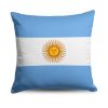 Argentina Flag Throw Pillow 18x18 inches