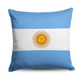 Argentina Flag Throw Pillow 18x18 inches