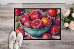 NEW Colorful Pomegranates Doormat Front Door Mat Indoor Outdoor Rugs for Entryway, Non Slip Washable Low Pile, 18H X 27W