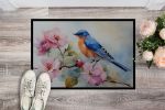 NEW Bluebird Doormat Front Door Mat Indoor Outdoor Rugs for Entryway, Non Slip Washable Low Pile, 18H X 27W