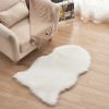 1pc Fluffy Imitation Wool Area Rug, Suede Fleece Bottom Long Imitation Wool Rug, Acrylic 80% Polyester 20%, 23.62*35.43inch, Living Room Bedroom Rug